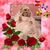 Carmen Luna Tapia's profile image