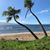 Carol Coulter Parker's profile image