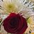 Charlotte Jiles's profile image