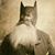 Bob Clark's profile image