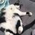 Emily Speck's profile image