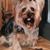 Phil Keeling's profile image