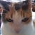 Cheryl Martin's profile image