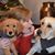 Maddie Hillard's profile image
