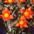 Donna Ellinger's profile image