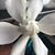 Tasha L. Cluke's profile image