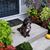 Debbie Chapman's profile image