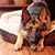Lisa Gould Portenga's profile image