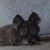 Donna Ann Dreverman Zauter's profile image