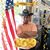 Rayed H. Abduljabbar's profile image