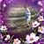 Diana Marie Beaver's profile image