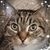 Jan Karraker's profile image