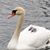 Sinclaire Alkire's profile image