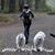 Kathy Walimaki-Thomas's profile image