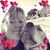 Laura Fraedrich's profile image