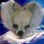Ashley Opfer's profile image
