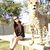Andrea Straughter's profile image