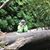 Nancy McNeeley's profile image
