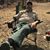 Christopher Grayson's profile image