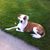 John Melko Jr.'s profile image