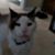 Patricia Yankle's profile image