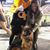 Barbara Flury Knight's profile image