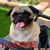Magz Labz's profile image