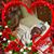 Wendy Greer Willeford's profile image