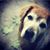 Michelle Campbell's profile image