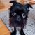 Dabe Warren's profile image