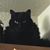 Erika Vergeer Brewer's profile image