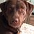 Robyn DeMattia's profile image