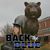 Katie Koch's profile image