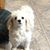 Cheryl-Rich Garibay's profile image