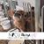 Cari Margelofsky-Glorioso's profile image