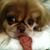 Angie Smithey-Ross's profile image
