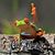 John Schall's profile image