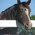 Joyce Jones's profile image