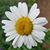 Kathy Seawell's profile image