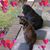 Julie C Sharpe's profile image