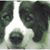 Rebecca Warn's profile image