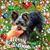 Shirley Hensley's profile image