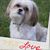 Joni Voss's profile image
