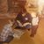 Don Torok's profile image