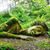 Lee Anne Fisher's profile image