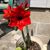 Debi Colee's profile image