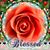 Theresa Padin's profile image
