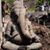 Lisa Fennimore's profile image