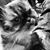Tara Ann's profile image