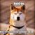 Suzie Blanz Shaffer's profile image